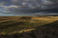 All images ©2023 Greg Newington