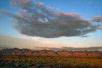 All images ©2023 Greg Newington