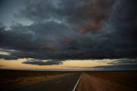 All images ©2023 Greg Newington