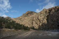 All images ©2023 Greg Newington