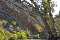 All images ©2023 Greg Newington