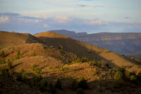 All images ©2023 Greg Newington