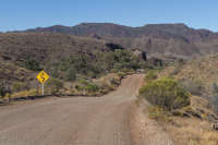 All images ©2023 Greg Newington