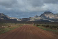 All images ©2023 Greg Newington