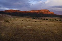 All images ©2023 Greg Newington