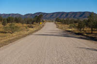 All images ©2023 Greg Newington