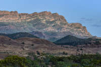 All images ©2023 Greg Newington