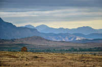 All images ©2023 Greg Newington