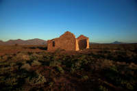 All images ©2023 Greg Newington