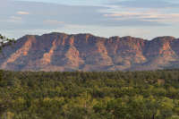 All images ©2023 Greg Newington