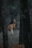 All images ©2023 Greg Newington