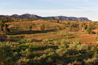 All images ©2023 Greg Newington