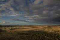 All images ©2023 Greg Newington