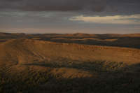 All images ©2023 Greg Newington