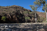 All images ©2023 Greg Newington