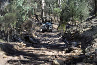 All images ©2023 Greg Newington