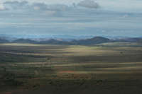 All images ©2023 Greg Newington