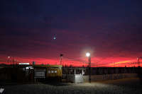 All images ©2023 Greg Newington