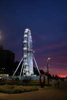 All images ©2023 Greg Newington