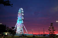 All images ©2023 Greg Newington