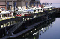 All images ©2023 Greg Newington