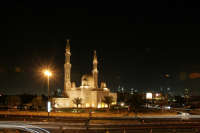 All images ©2023 Greg Newington