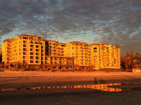 All images ©2023 Greg Newington