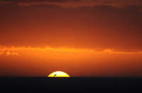 All images ©2023 Greg Newington