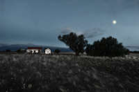 All images ©2023 Greg Newington