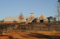 All images ©2023 Greg Newington