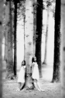 All images ©2023 Greg Newington