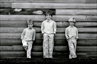 All images ©2023 Greg Newington