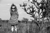 All images ©2023 Greg Newington