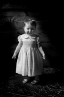 All images ©2023 Greg Newington