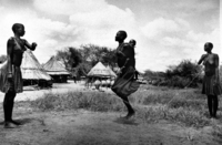 All images ©2023 Greg Newington