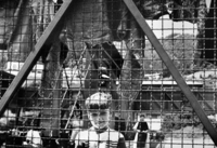 All images ©2023 Greg Newington