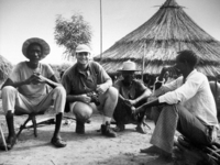 All images ©2023 Greg Newington